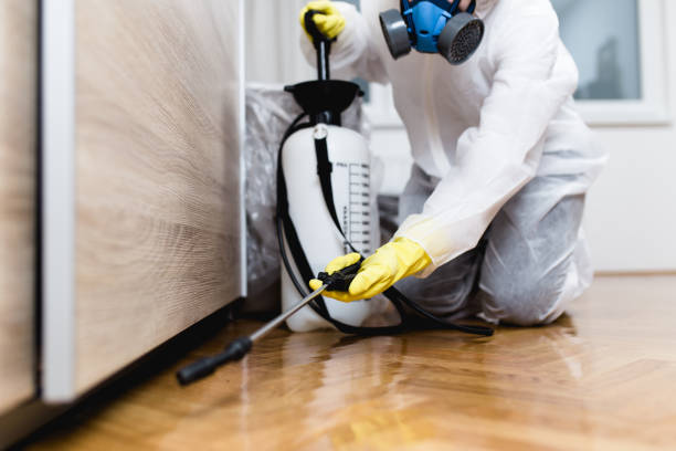 Best Affordable Pest Control Services  in Wolcottville, IN