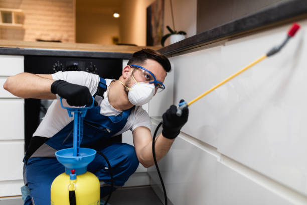 Best Flea Control Services  in Wolcottville, IN