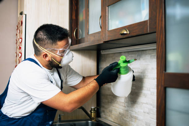 Best Bed Bug Extermination  in Wolcottville, IN