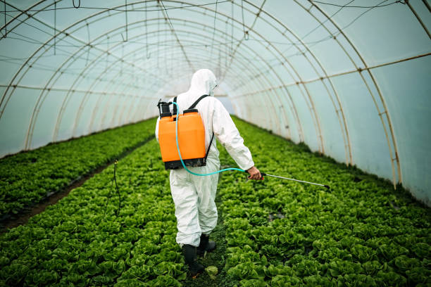 Best Best Pest Control Companies  in Wolcottville, IN