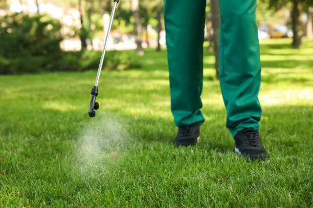 Best Local Pest Control Services  in Wolcottville, IN