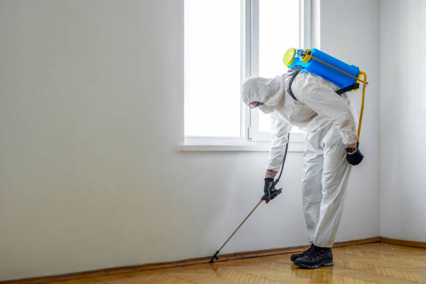 Best Commercial Pest Control Services  in Wolcottville, IN