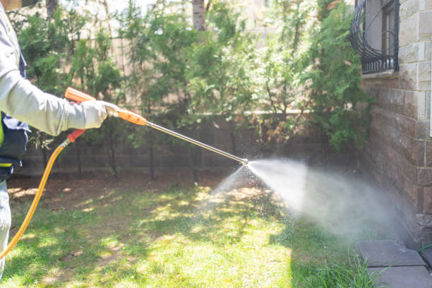 Bird Control in Wolcottville, IN