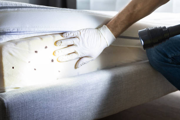 Best Commercial Pest Control Services  in Wolcottville, IN