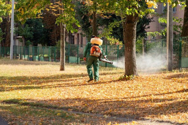 Best Cockroach Control Services  in Wolcottville, IN