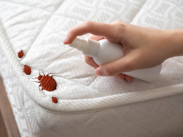 Best Ant Control Services  in Wolcottville, IN