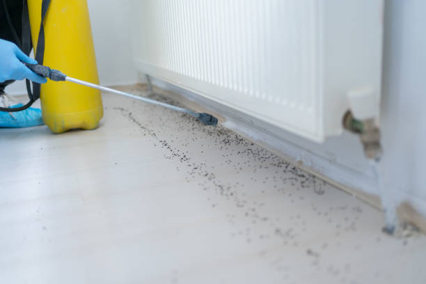 Best Pest Inspection Near Me  in Wolcottville, IN