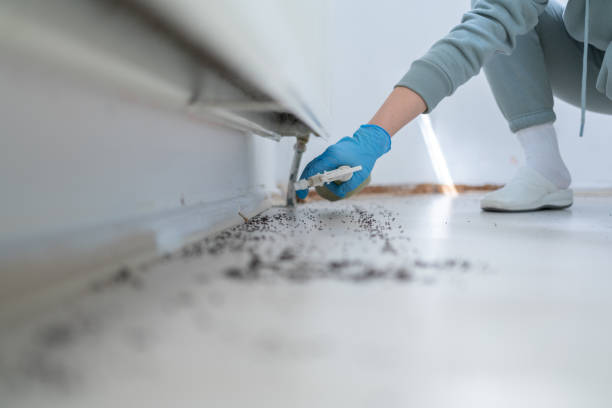 Best Pest Prevention Services  in Wolcottville, IN